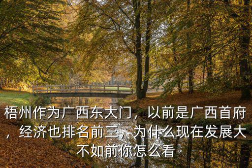 梧州作為廣西東大門，以前是廣西首府，經濟也排名前三，為什么現在發展大不如前你怎么看
