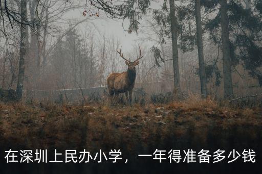 在深圳上民辦小學(xué)，一年得準備多少錢