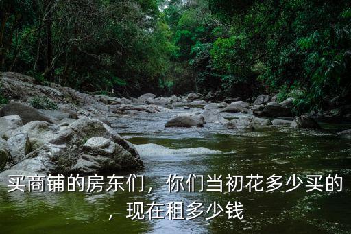韶關(guān)仁化買商鋪多少錢,買商鋪的房東們