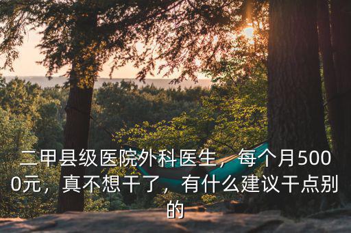 二甲縣級醫院外科醫生，每個月5000元，真不想干了，有什么建議干點別的