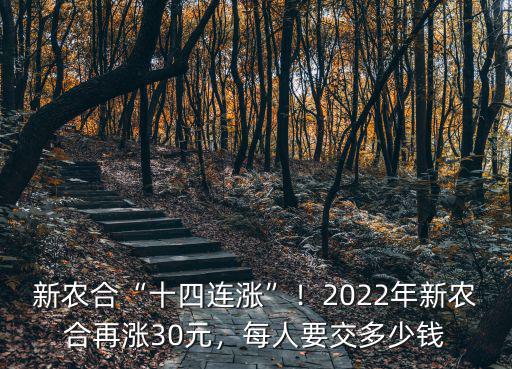 濱州新農合交多少錢,每人要交多少錢