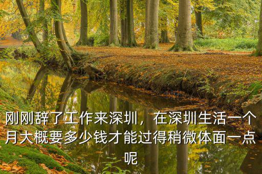 深圳一個月內消費多少,正常一個月的消費水平是多少