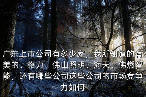 2019年廣州上市公司多少家,廣東上市公司有多少家