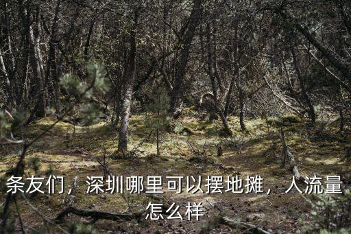 深圳人流量現在怎么樣,人流量怎么樣