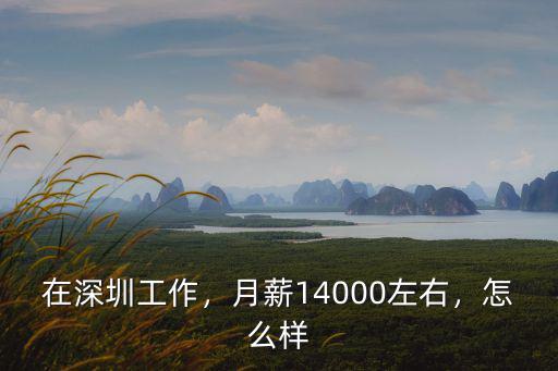 在深圳工作，月薪14000左右，怎么樣