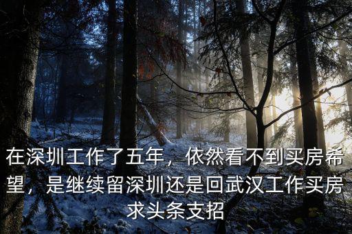 武漢大學在深圳找工作怎么樣,在深圳工作了五年