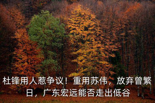 杜鋒用人惹爭議！重用蘇偉，放棄曾繁日，廣東宏遠能否走出低谷