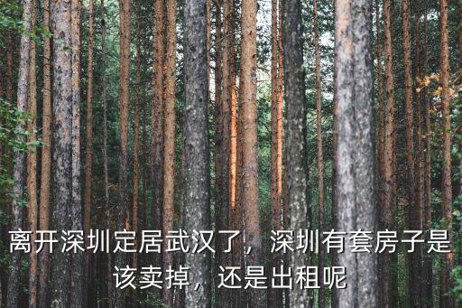 離開深圳定居武漢了，深圳有套房子是該賣掉，還是出租呢
