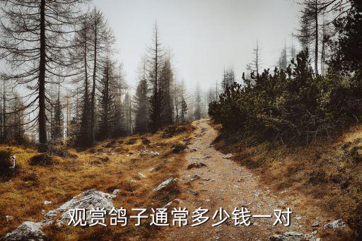 山東壽光鴿子多少錢,養(yǎng)500對(duì)鴿子投資多少錢