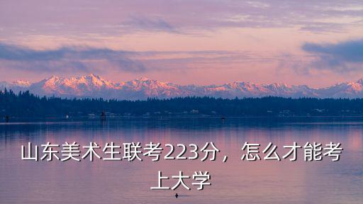 山東省美術(shù)聯(lián)考多少分才能上線,山東省美術(shù)聯(lián)考考了225分