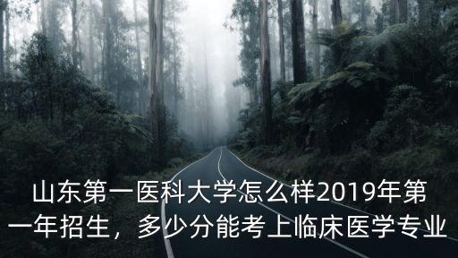 山東科技大學(xué)去年招生多少分,山東科技大學(xué)怎么樣