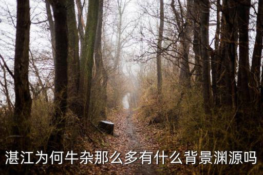 湛江為何牛雜那么多有什么背景淵源嗎