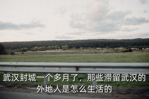 武漢封城一個多月了，那些滯留武漢的外地人是怎么生活的
