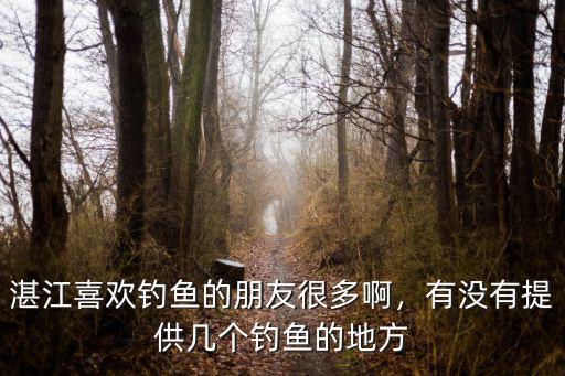 湛江有哪里釣魚的地方在哪里,有沒(méi)有提供幾個(gè)釣魚的地方