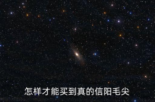 怎樣才能買到真的信陽毛尖