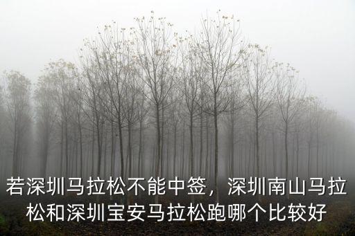 深圳哪里能跑馬拉松,深圳南山半程馬拉松比賽中