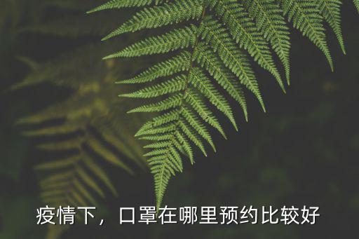惠州博羅龍溪哪里預約口罩,口罩在哪里預約比較好
