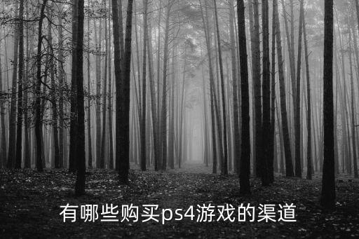 有哪些購買ps4游戲的渠道