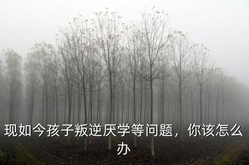 江門孩子叛逆厭學怎么辦,現如今孩子叛逆厭學等問題