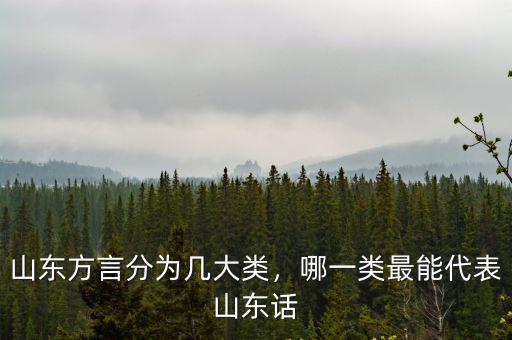 山東方言分為幾大類，哪一類最能代表山東話