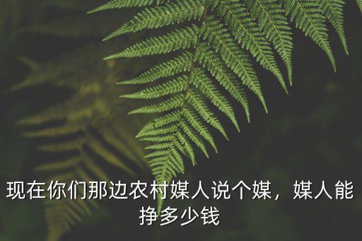 山東單縣有多少個媒人,山東有個單縣