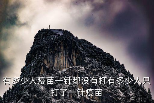 有多少人疫苗一針都沒有打有多少人只打了一針疫苗