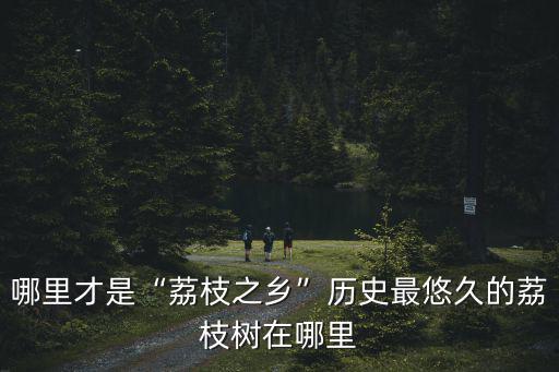 哪里才是“荔枝之鄉”歷史最悠久的荔枝樹在哪里