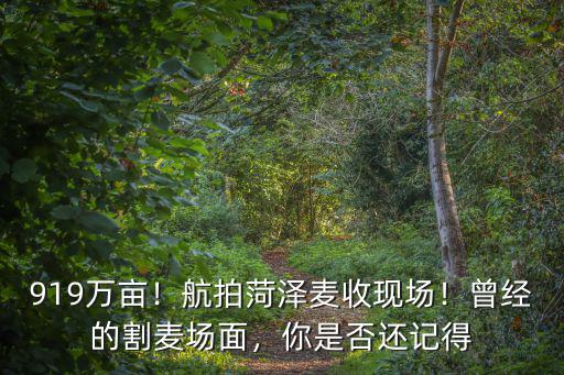 山東菏澤麥收還有多少天,山東菏澤收麥開始了