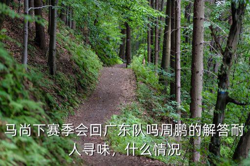 廣東隊周鵬今年多少歲,周鵬的解答耐人尋味