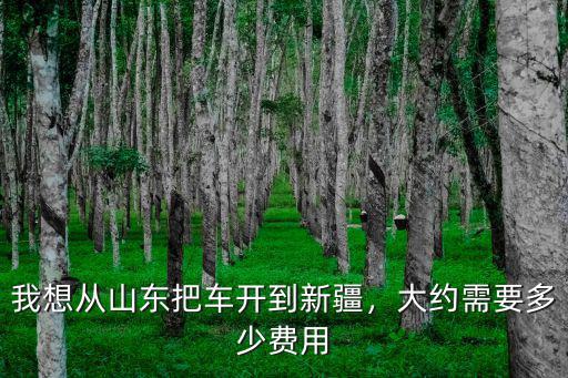 我想從山東把車開(kāi)到新疆，大約需要多少費(fèi)用