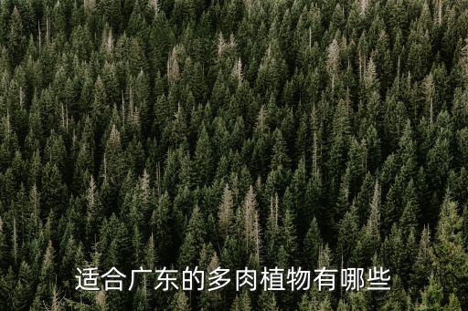 哪里的多肉適合廣東,適合廣東的多肉植物有哪些