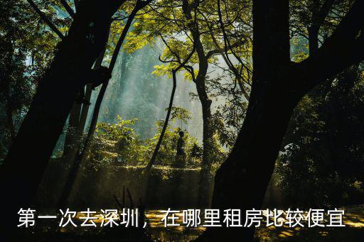 第一次去深圳，在哪里租房比較便宜