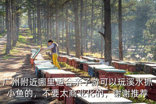廣州附近哪里適合親子游可以玩溪水抓小魚的，不要太商業化的，謝謝推薦
