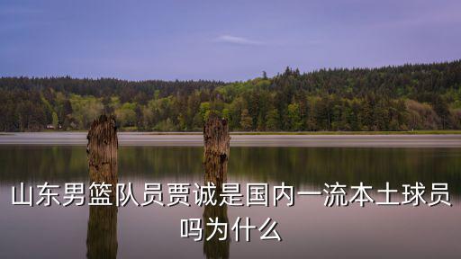 山東男籃隊員賈誠是國內一流本土球員嗎為什么