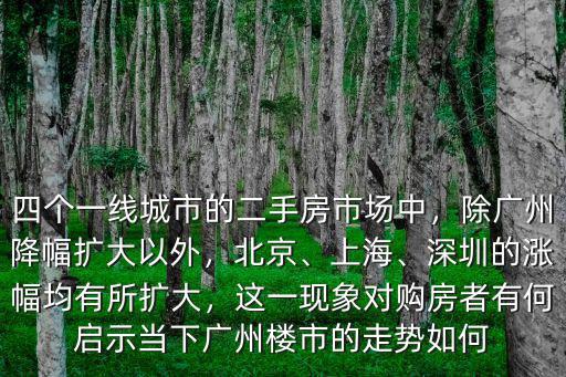 深圳二手房的前景怎么樣,深圳的漲幅均有所擴大