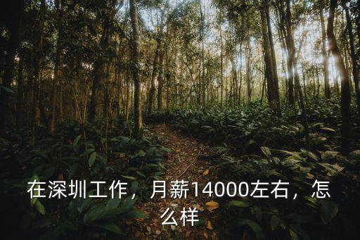 在深圳工作，月薪14000左右，怎么樣