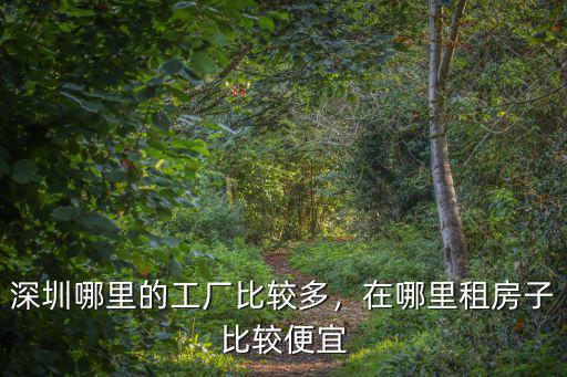 深圳工廠哪里有零工,深圳哪里的工廠比較多