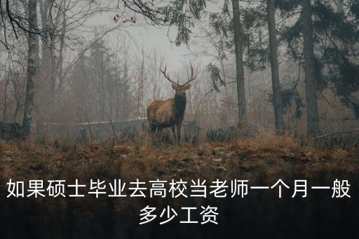深圳碩士計(jì)算機(jī)工資多少錢,普通院校計(jì)算機(jī)碩士畢業(yè)