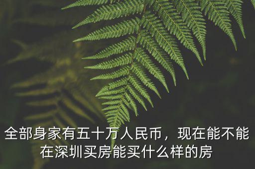 全部身家有五十萬人民幣，現在能不能在深圳買房能買什么樣的房