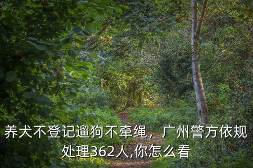 廣州女子遛狗不牽繩怎么處理,女子遛狗不牽繩