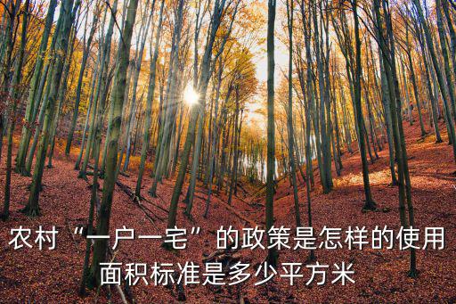 山東微山一戶一宅面積是多少,農村一戶一宅的政策是怎樣的