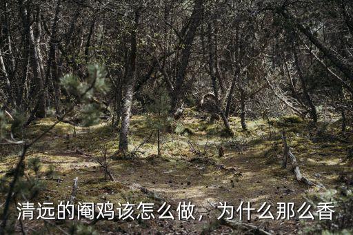 廣東清遠(yuǎn)麻雞配送怎么做,醬油雞怎么做