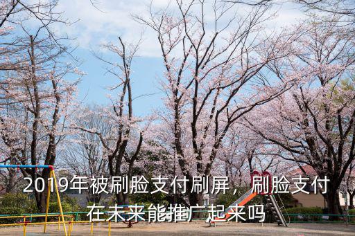2019年被刷臉支付刷屏，刷臉支付在未來能推廣起來嗎