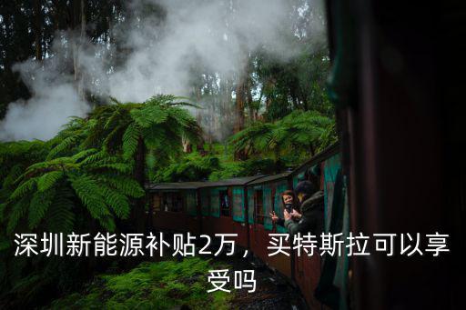 深圳新能源補貼2萬，買特斯拉可以享受嗎