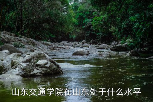 山東交通學院在山東處于什么水平