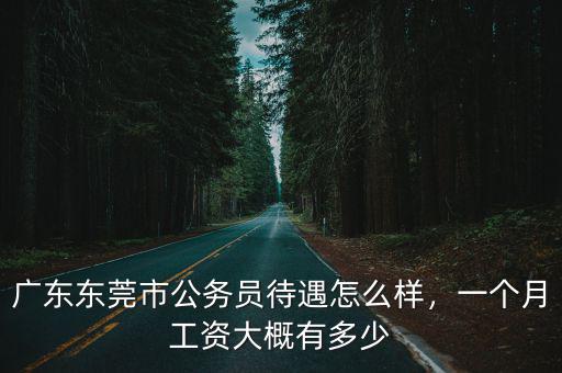 東莞國稅一年工資多少,東莞的平均工資是多少