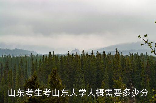 山東考生考山東大學(xué)大概需要多少分