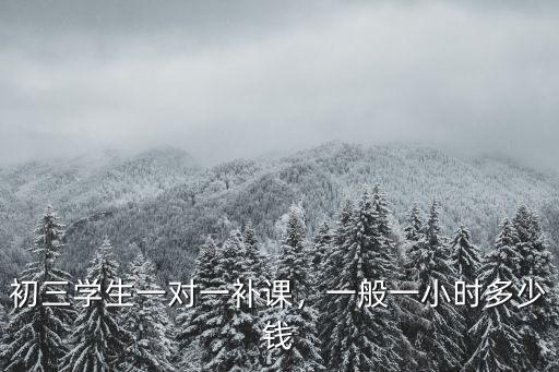 東營初四一對一輔導多少錢,初三學生一對一補課