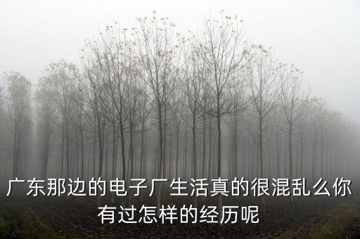 廣東哪里的電子廠好做,都集中在哪里
