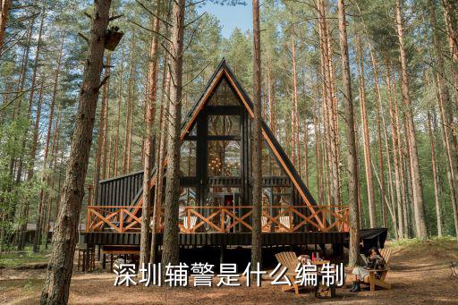 深圳輔警是什么編制